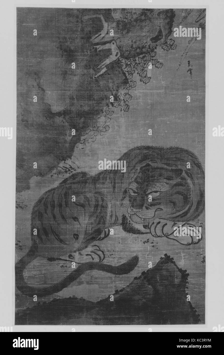 Tiger, Ming Dynastie (?) (1368 - 1644), China, Hängerolle, Tusche und Farbe auf Seide, 60 3/4 x 36 in. (154,3 x 91,4 cm), Gemälde Stockfoto