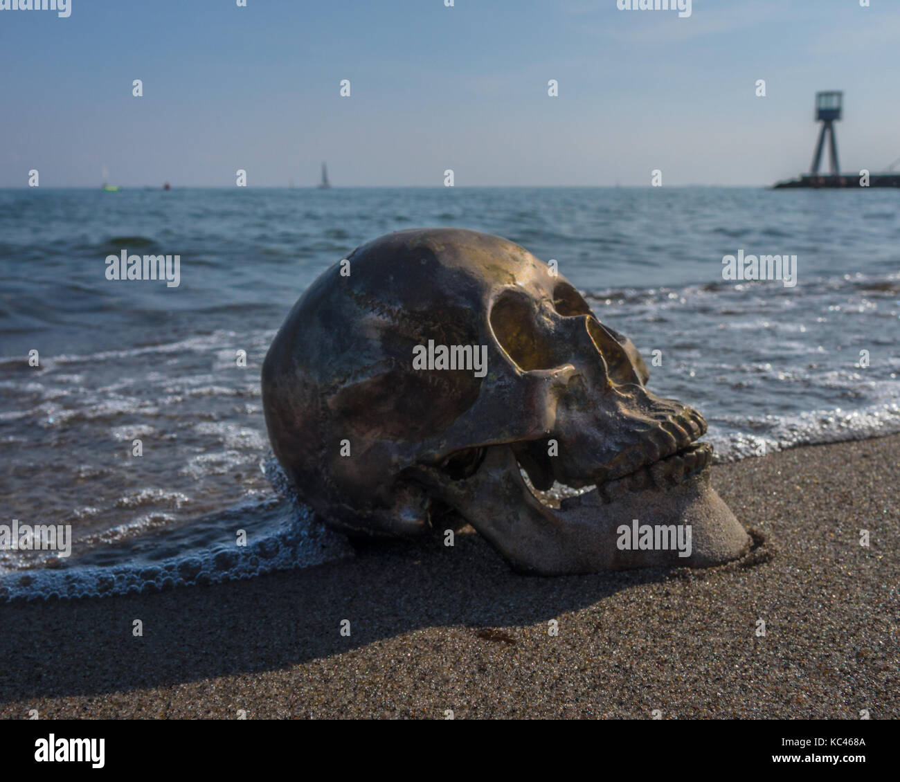 Schädel im Sand Stockfoto