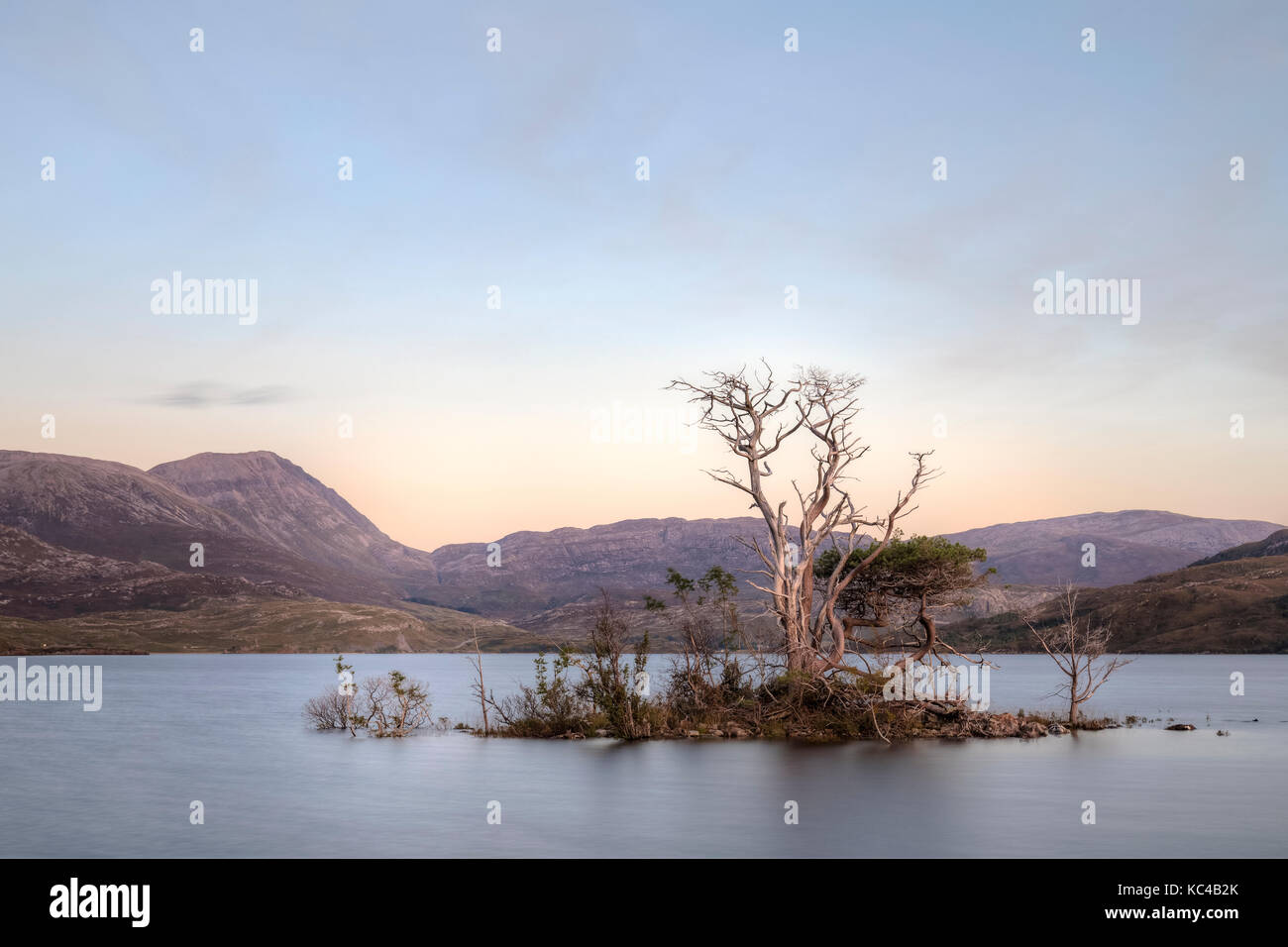 Bäume untergetaucht am Loch Assynt, Sutherland, Schottland, Großbritannien Stockfoto
