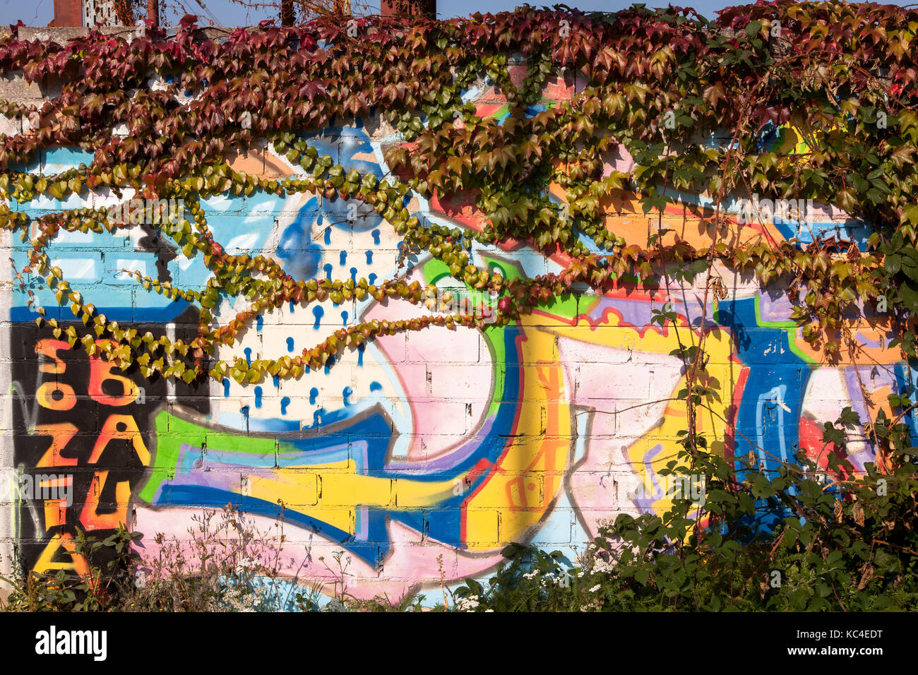 Deutschland, Nordrhein-Westfalen, Köln, Graffiti an der Wand im Hafen Mülheim an der Rebe. Deutschland, Nordrhein-Westfalen, Koeln, Graffitis Stockfoto