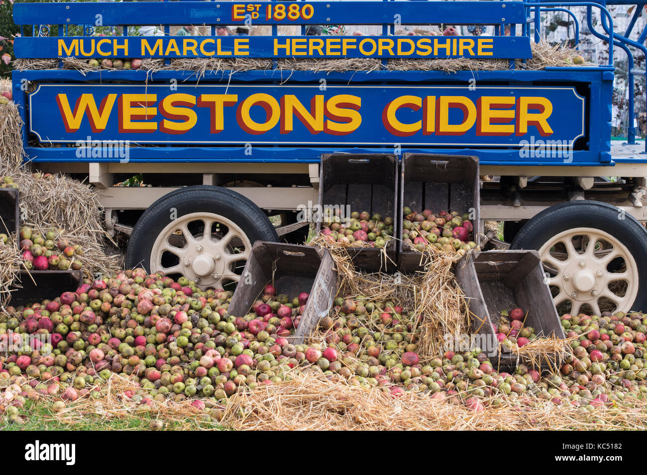 Westons Cider aus Holz Warenkorb und Äpfel im Herbst zeigen, Malvern, Worcestershire, Großbritannien Stockfoto
