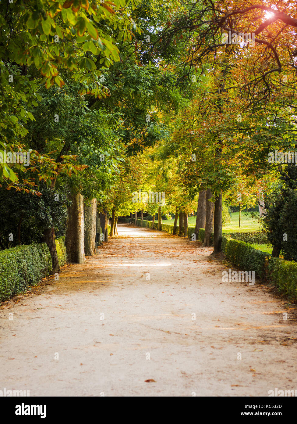 Herbst Straße in der Stadt Madrid. Schöne helle Farben Stockfoto