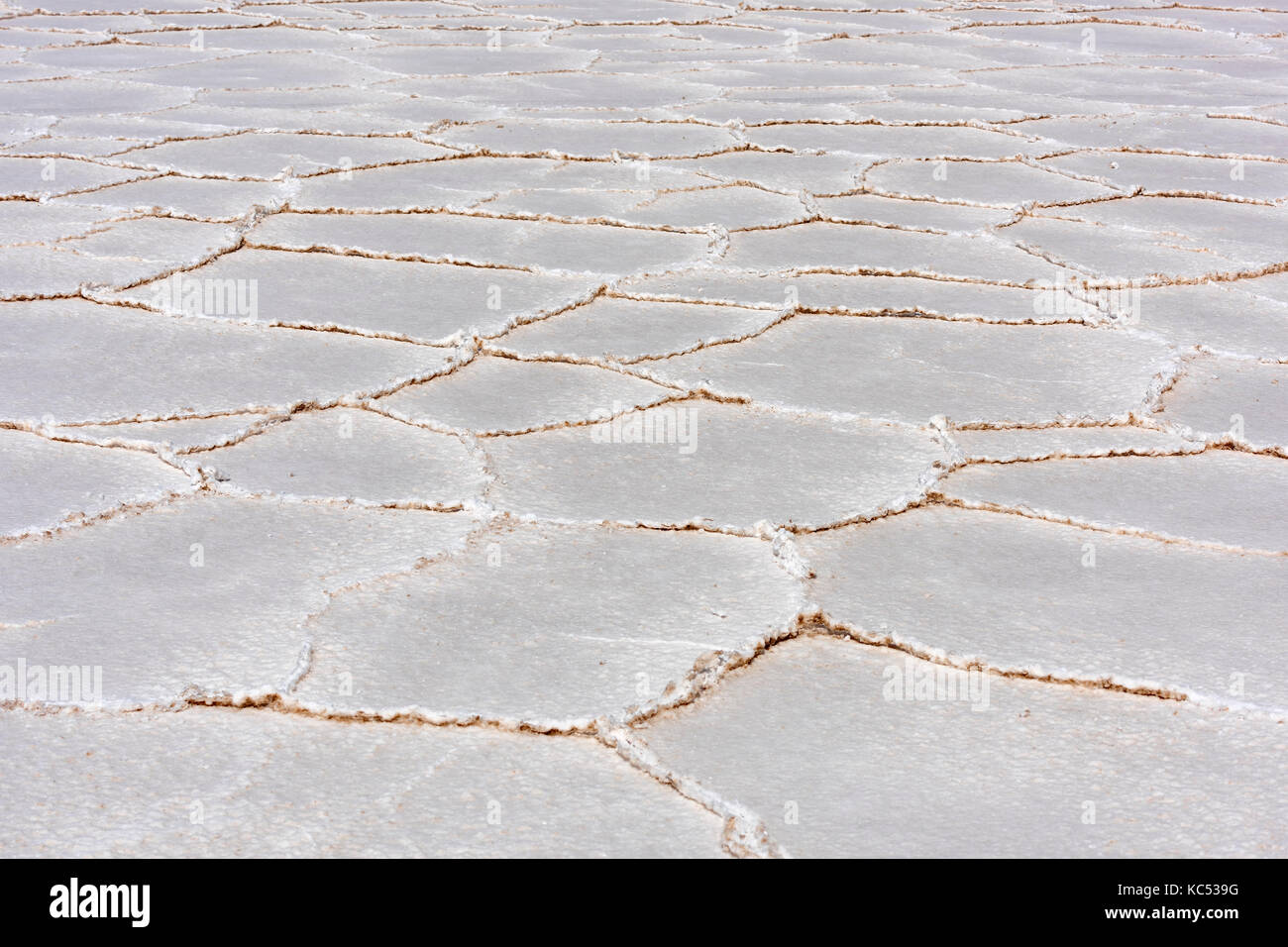 Kristalline Strukturen, Salar de Uyuni, Altiplano, 3670 m über dem Meeresspiegel, Bolivien, Südamerika Stockfoto