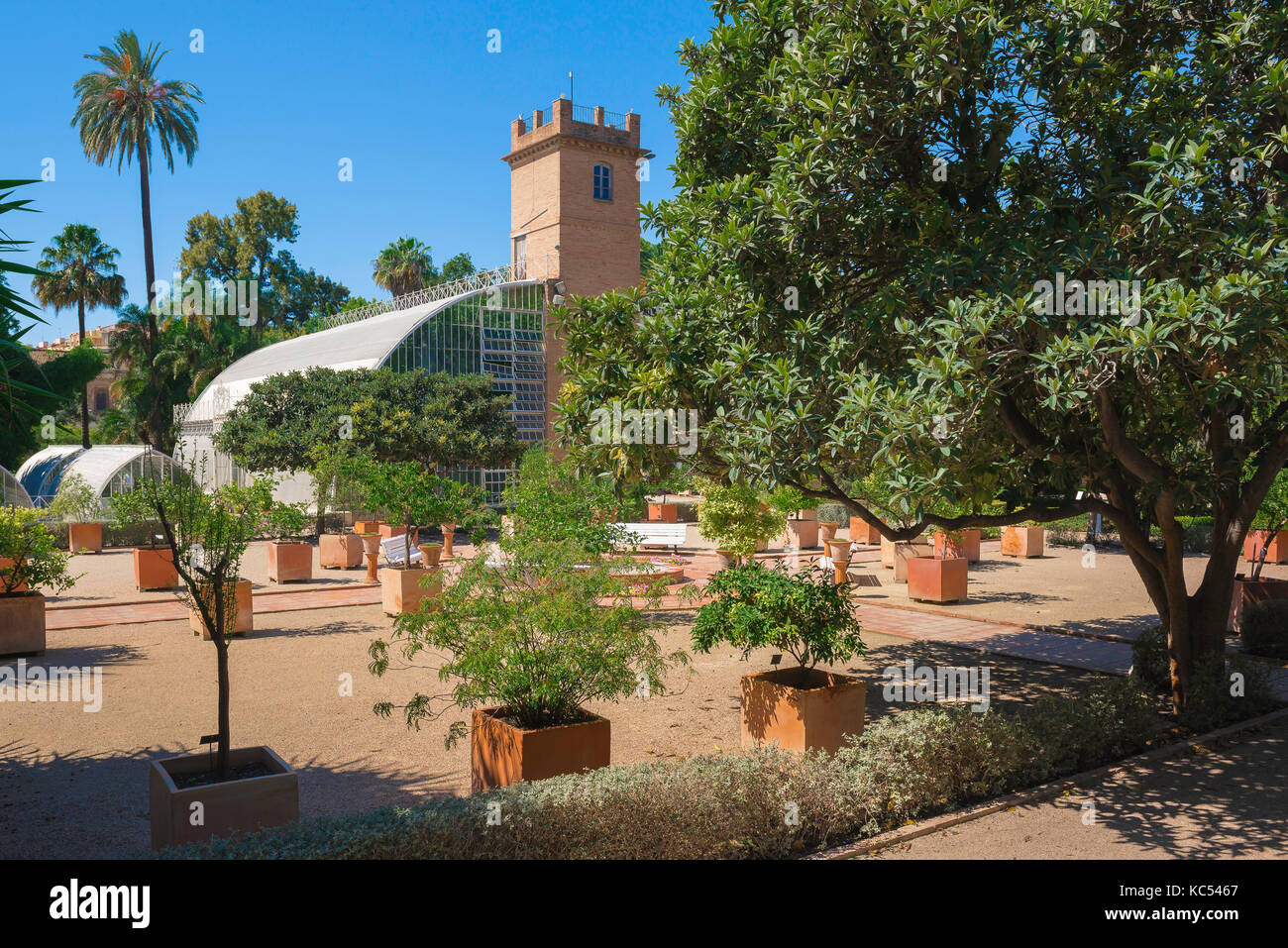 Botanischer Garten Valencia Spanien, Blick durch Oliven- und Zitronenbäume eines großen modernen Wintergarten Gebäude im Jardin Botanico in Valencia. Stockfoto