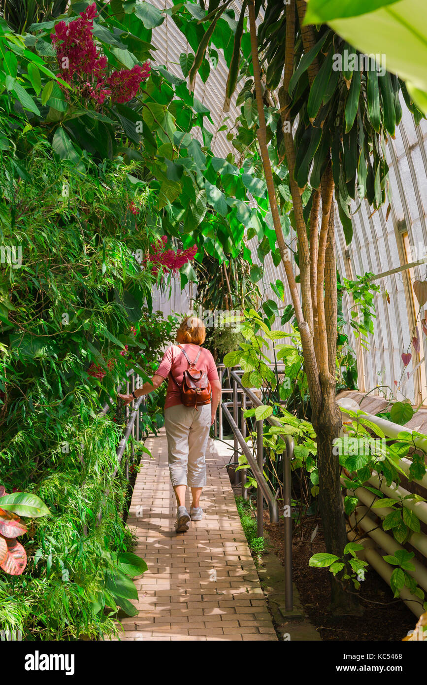 Valencia Spanien botanischer Garten, Rückansicht einer Frau gehen durch einen großen Gewächshaus voller tropischer Pflanzen in den Jardin Botanico, Valencia. Stockfoto