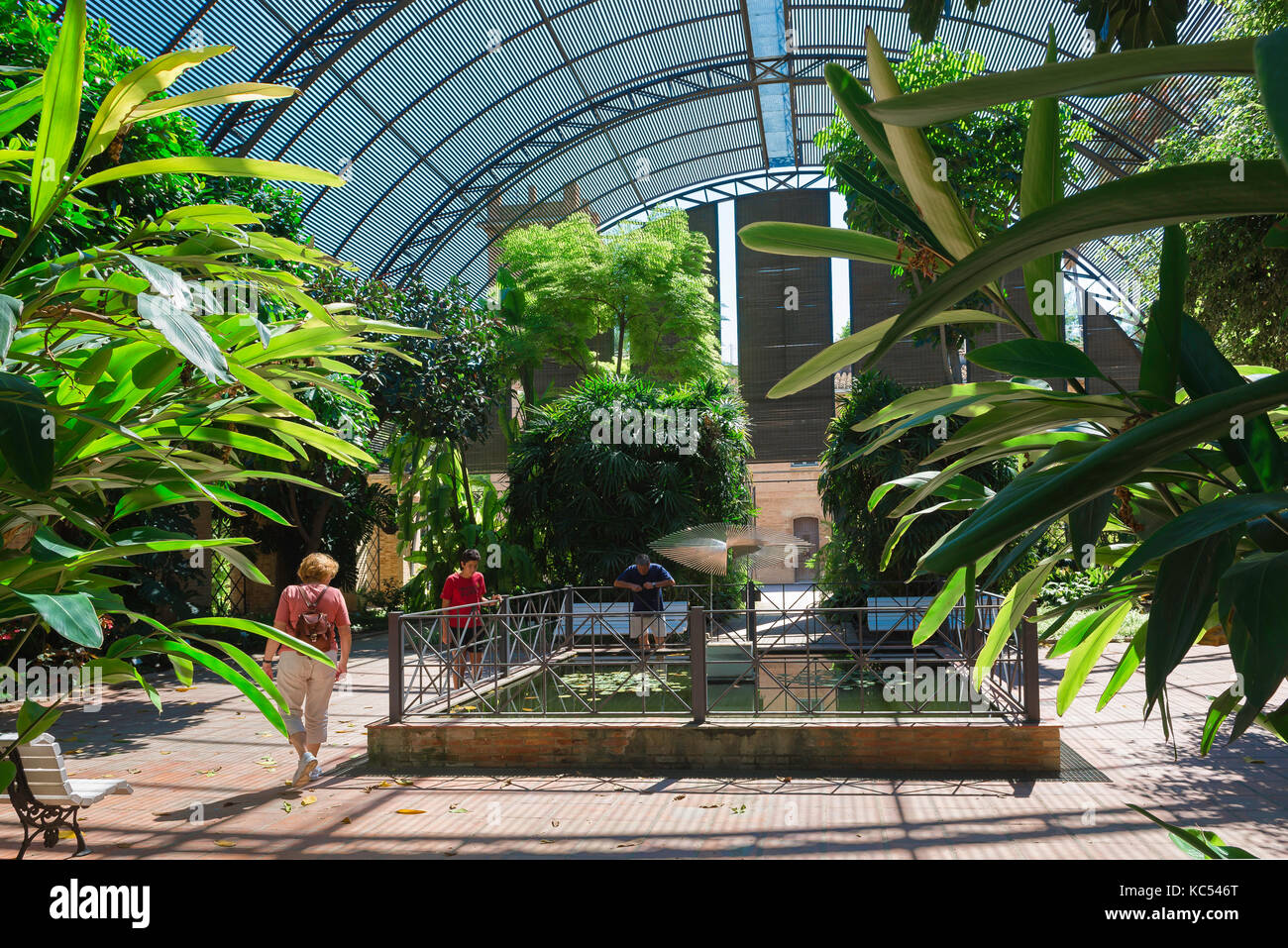 Botanischer Garten Valencia Spanien, Besucher der Jardin Botanico