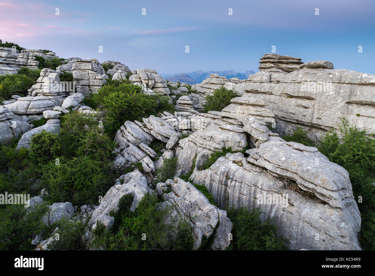 Bizarre Kalksteinfelsen, El Torcal Naturschutzgebiet, Antequera, Provinz Malaga, Andalusien, Spanien Stockfoto