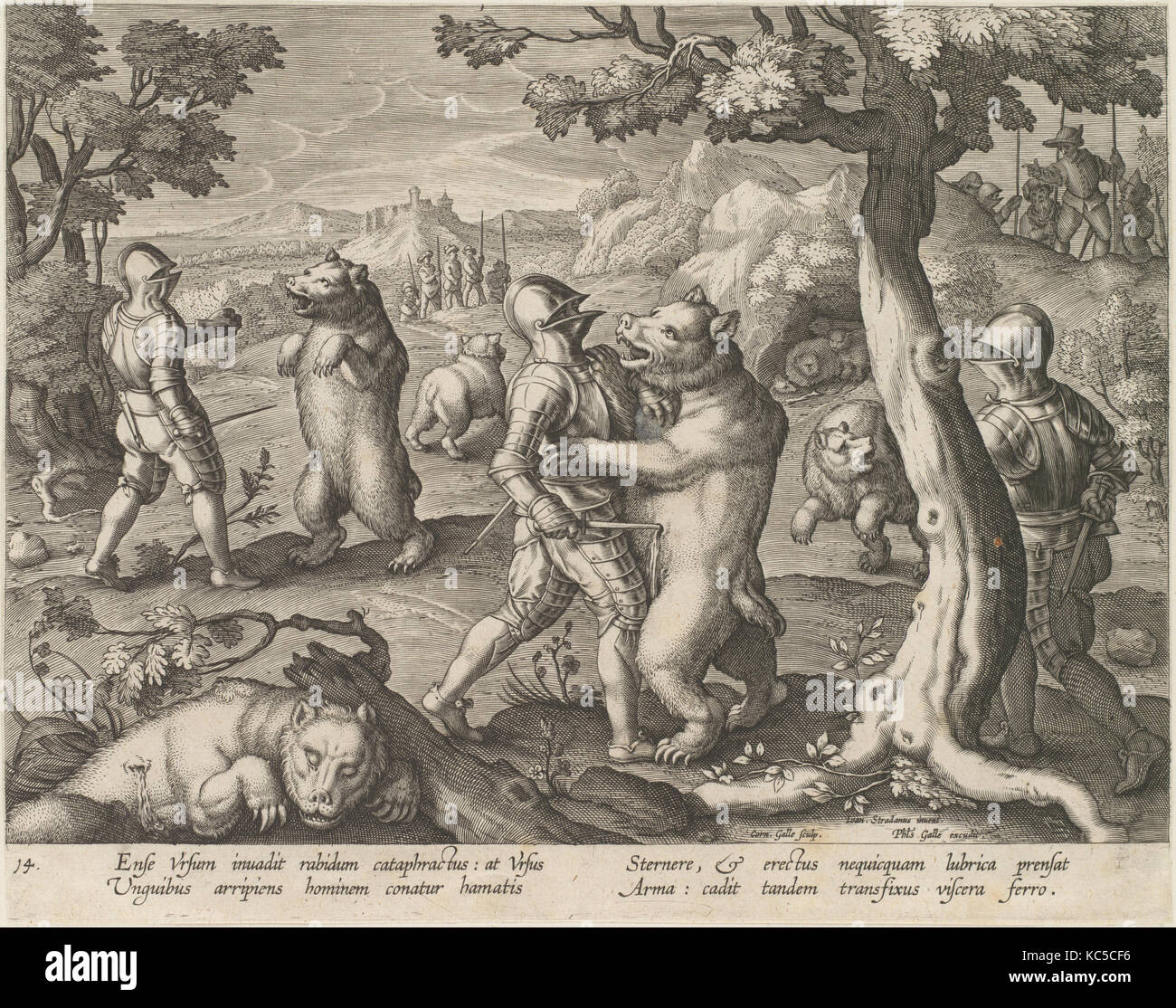 Serie venationes fararum Fotos und Bildmaterial in hoher Auflösung