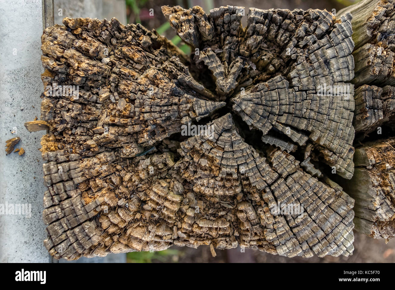 Holz Post Stockfoto