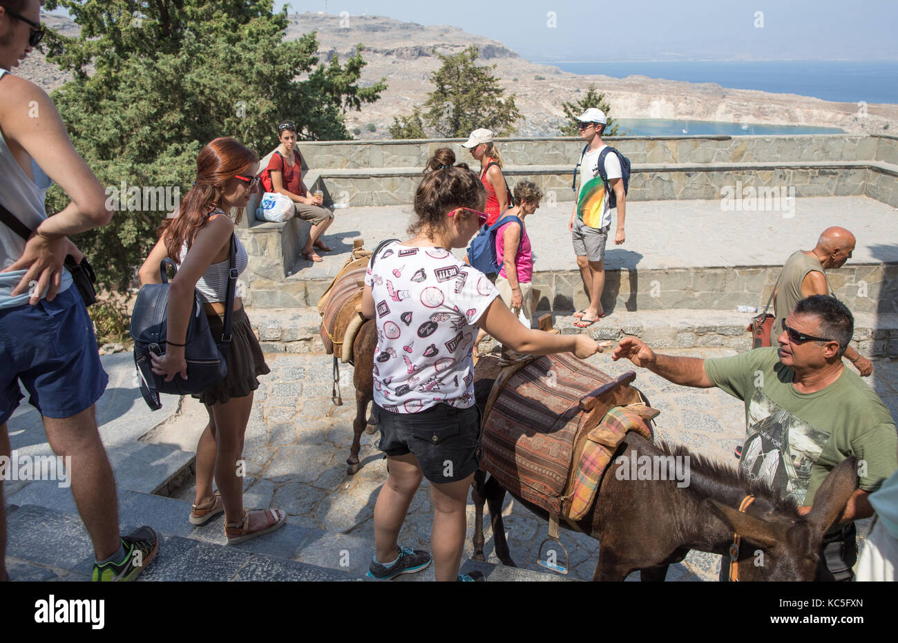 Touristen Reiten Esel Lindos Rhodos Griechische Inseln Griechenland Stockfoto