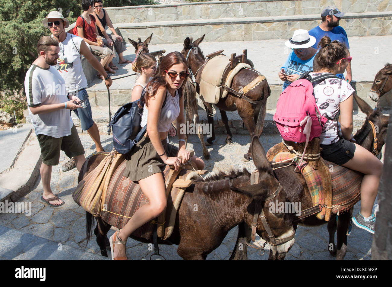 Touristen Reiten Esel Lindos Rhodos Griechische Inseln Griechenland Stockfoto
