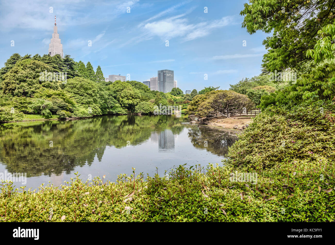 Japanischer Garten im Shinjuku Gyoen National Garden, Tokio, Japan Stockfoto