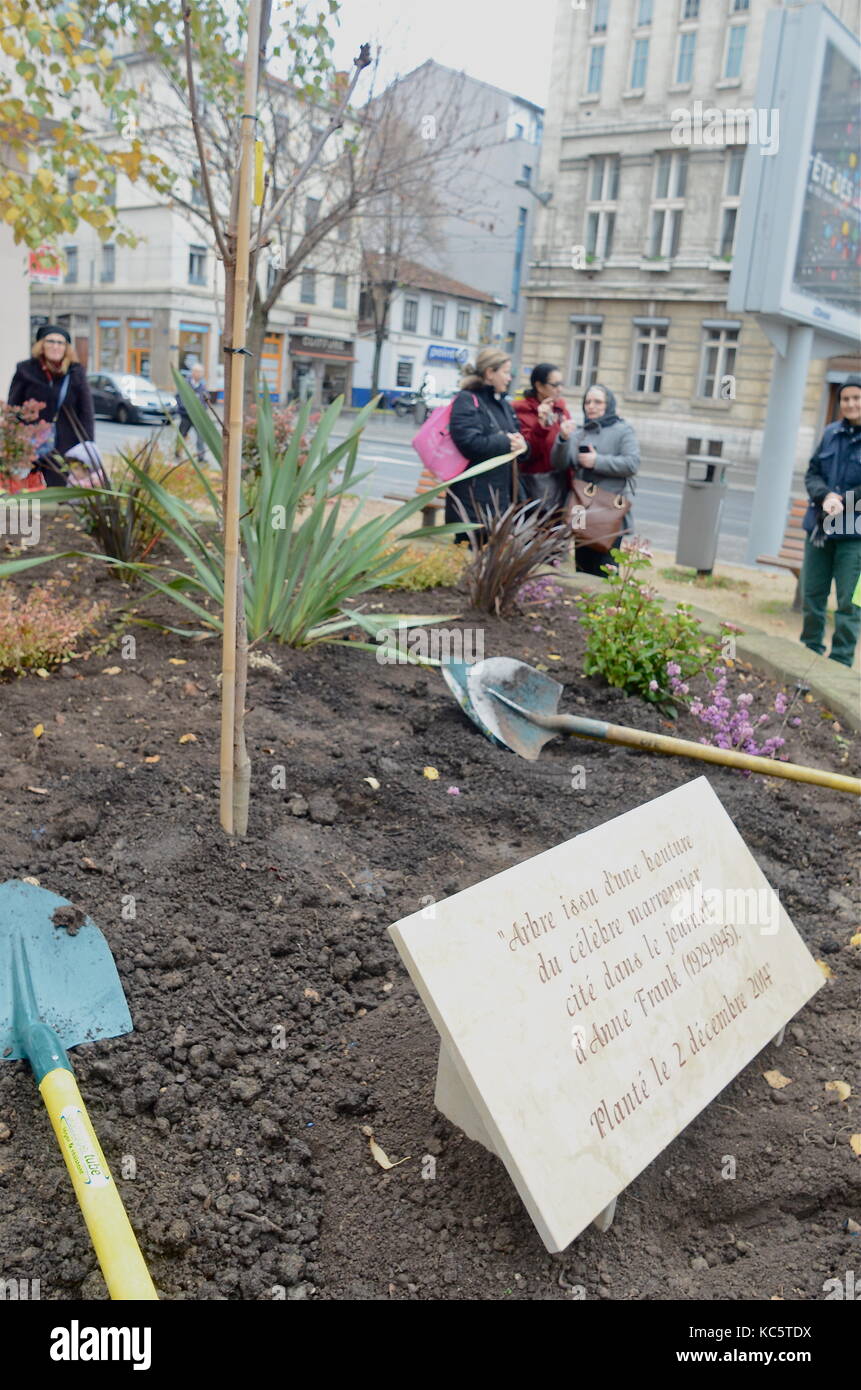 Ein Baum wird errichtet, um Anne Frank, Lyon, Frankreich, zu ehren Stockfoto