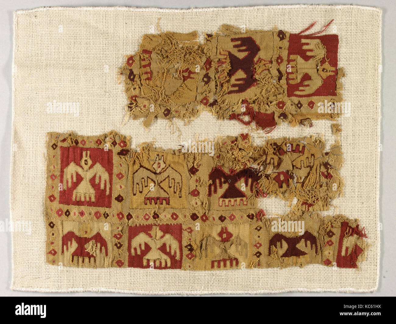 Fragment, 12. - 15. Jahrhundert, Peru, Chimú, Camelid Haar, Baumwolle, H x B: 4 1/2 x 16 in. (11,4 x 40,6 cm), Textiles-Woven Stockfoto