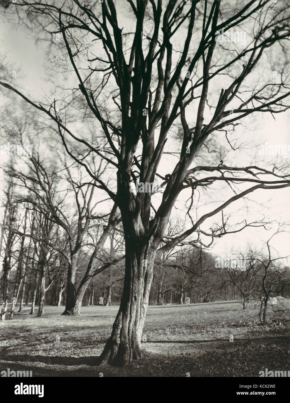 Umgebung von Paris, Eugène Atget, 1920er Jahre, Gedruckt 1956 Stockfoto