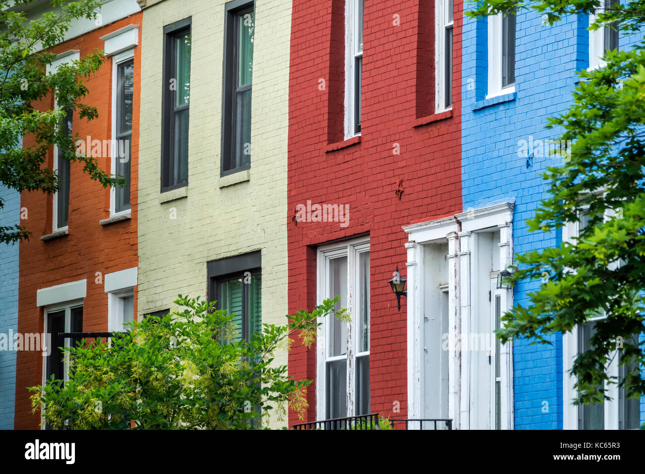 Washington DC, Seaton Street, Nachbarschaft, Reihenhäuser, helle Farben, bemalt, DC170525048 Stockfoto