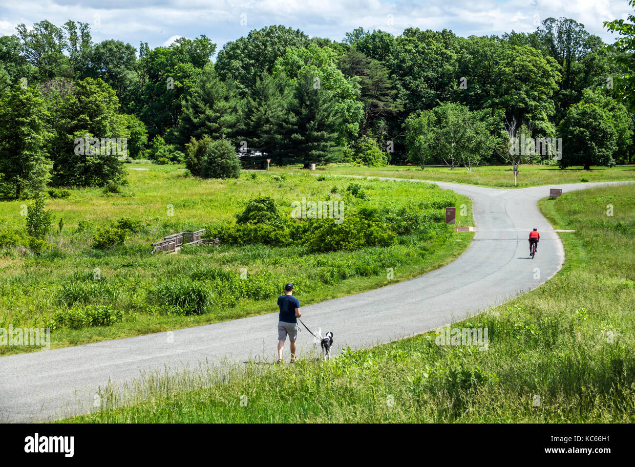 Washington DC, United States National Arboretum, botanischer Garten, Ellipse Meadow, Straße, Bäume, Wanderhund, DC170525095 Stockfoto