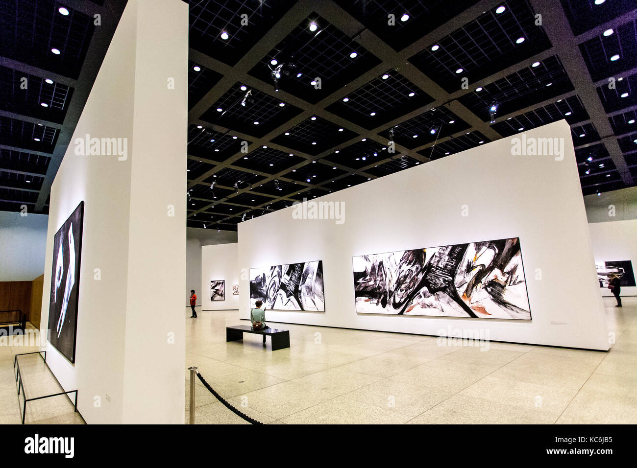 Die Gestaltung der Innenräume und der Aufklärung der neuen National Art Gallery, mit Ausstellung der modernen schwarzen und weißen Gemälde. Berlin, Deutschland Stockfoto