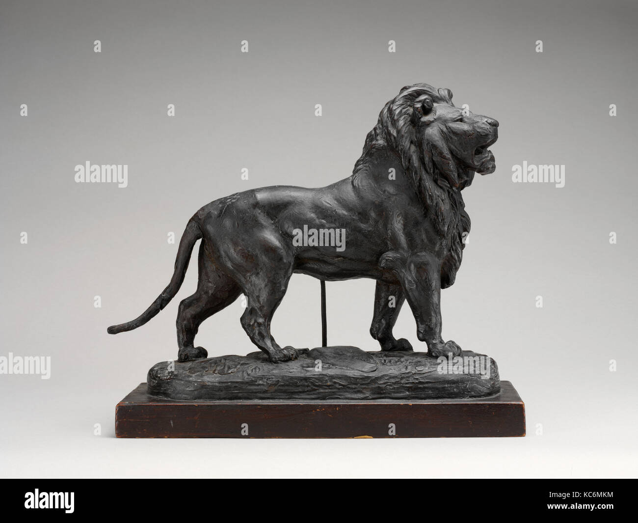 Ständigen Lion (Lionne debout), Antoine-Louis Barye zugeschrieben, wahrscheinlich modelliert Ca. 1825 - 30. Stockfoto