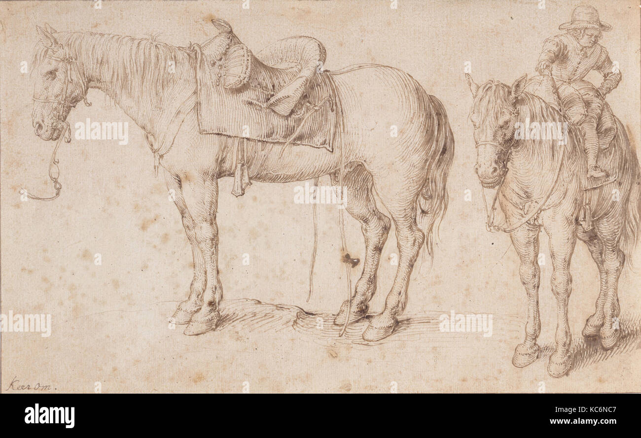 Zwei Studien einer gesattelte Pferd und ein Pferd mit einem Jungen auf dem Rücken; Verso: Studie über eine Bohne Pflanze, Jacques de Gheyn II, Ca. 1602 Stockfoto