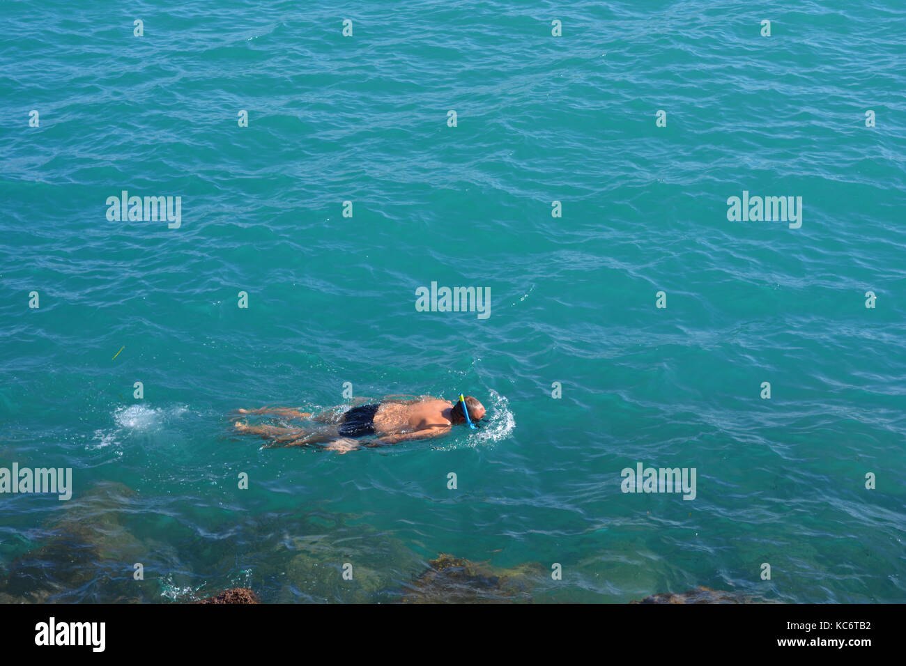 Man schnorcheln, bei Fisch suchen Stockfoto