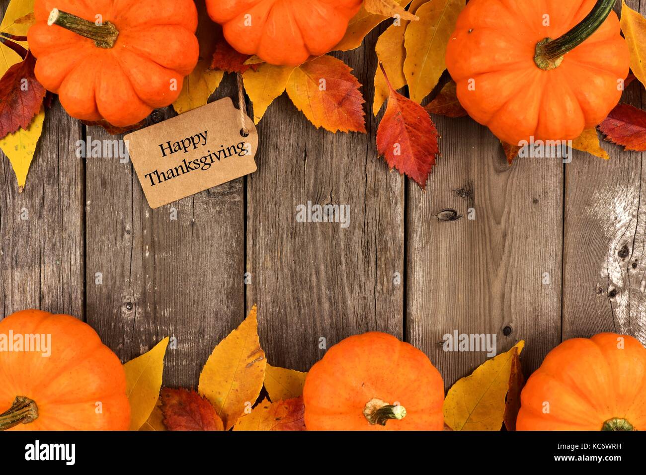Happy Thanksgiving Tag Kurbisse Und Herbst Wohnkultur Mit Rustikalen Holz Hintergrund Stockfotografie Alamy