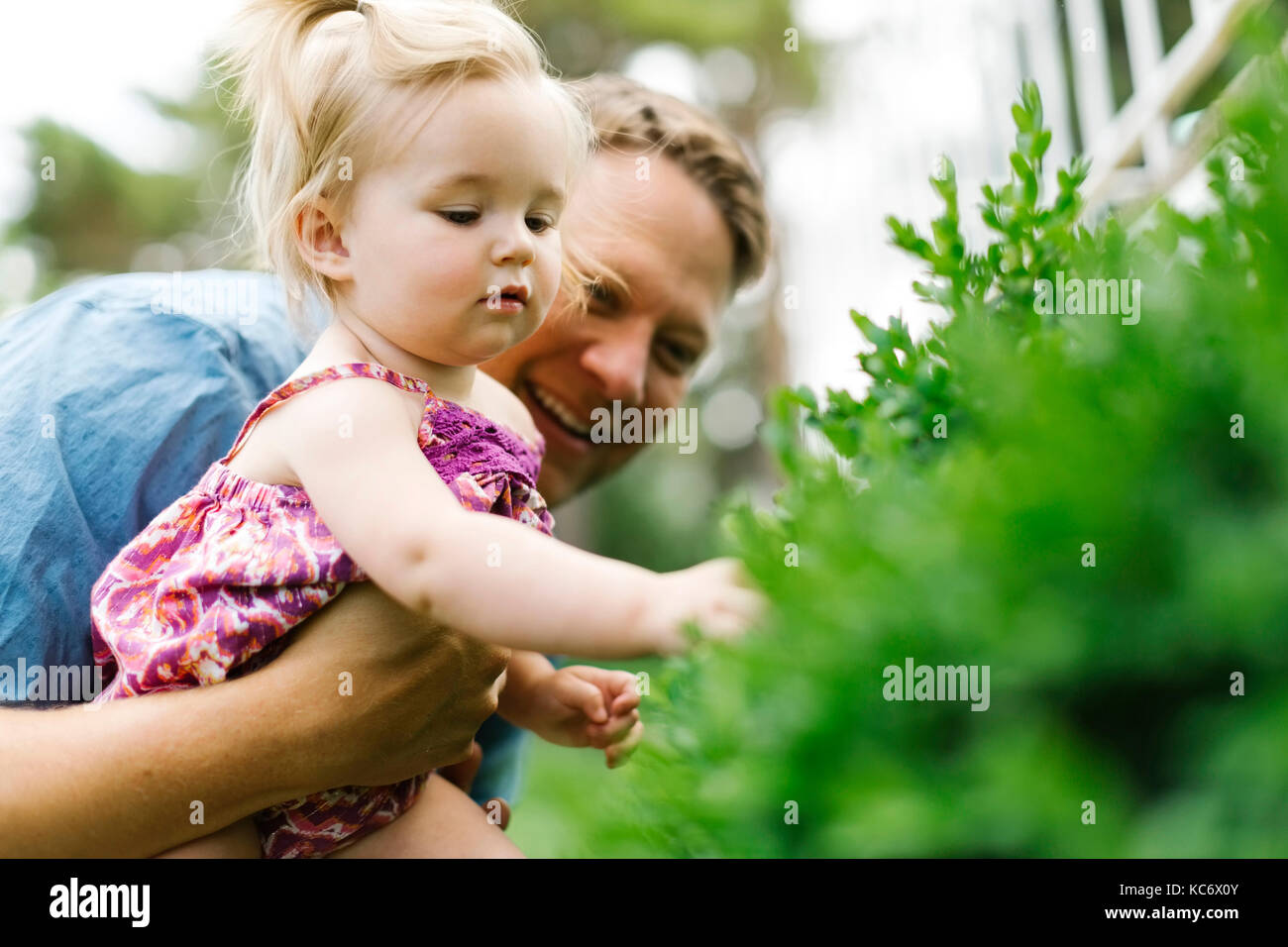 Vater spielen mit baby girl (12-17 Monate) im Hinterhof Stockfoto