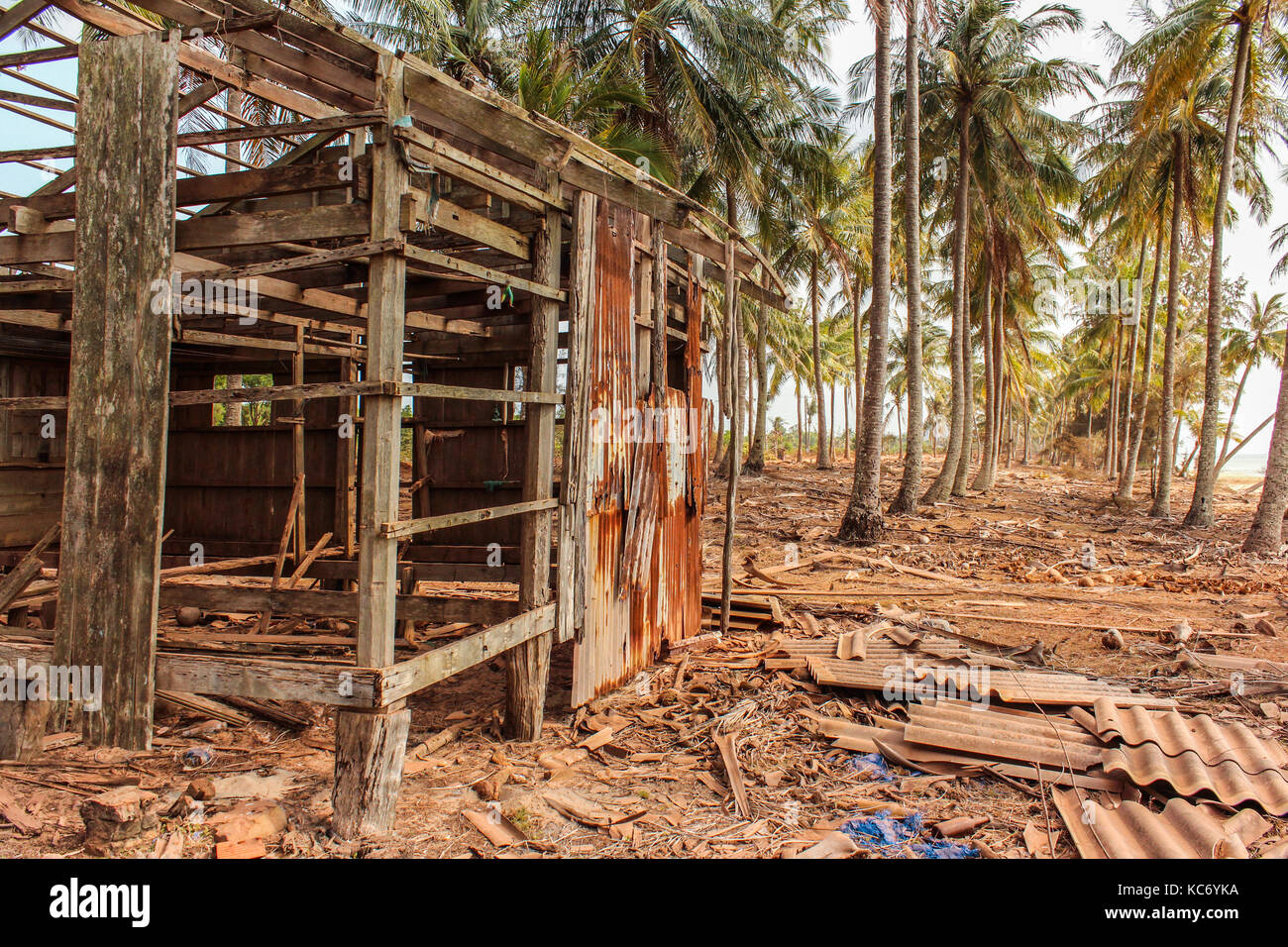 Zerstört Holz- Haus auf Küste mit Palmen und Strand Hintergrund - Stockfoto