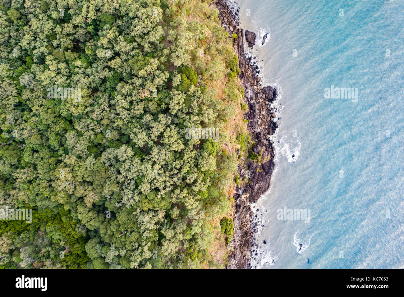 Australien, Queensland, Regenwald auf dem Seeweg Stockfoto
