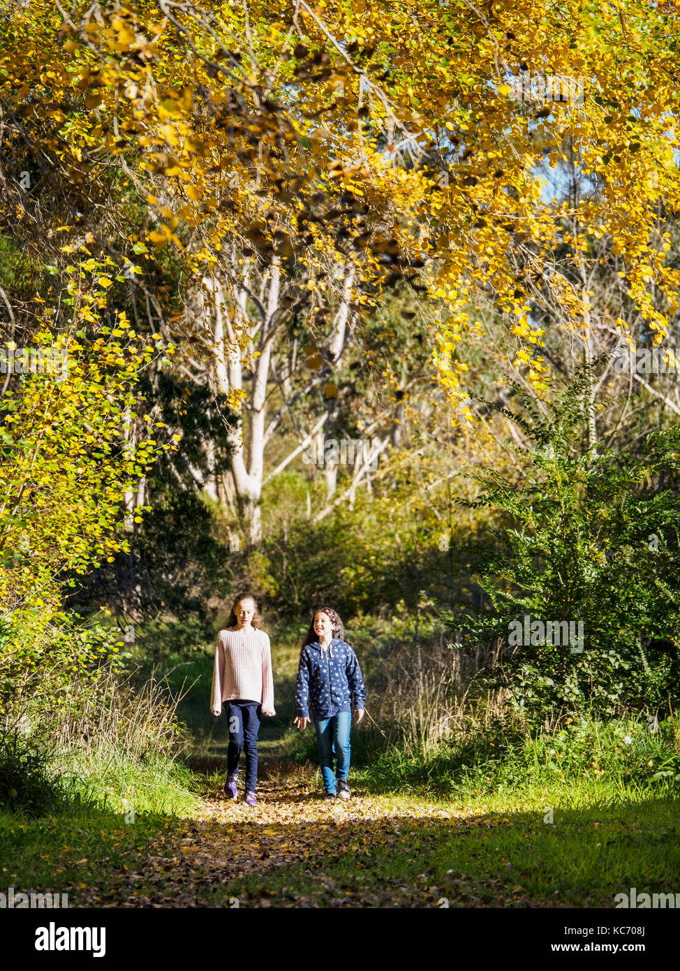 Australien, Queensland, Mädchen (10-11, 12-13) zu Fuß auf Wanderweg im Herbst Stockfoto