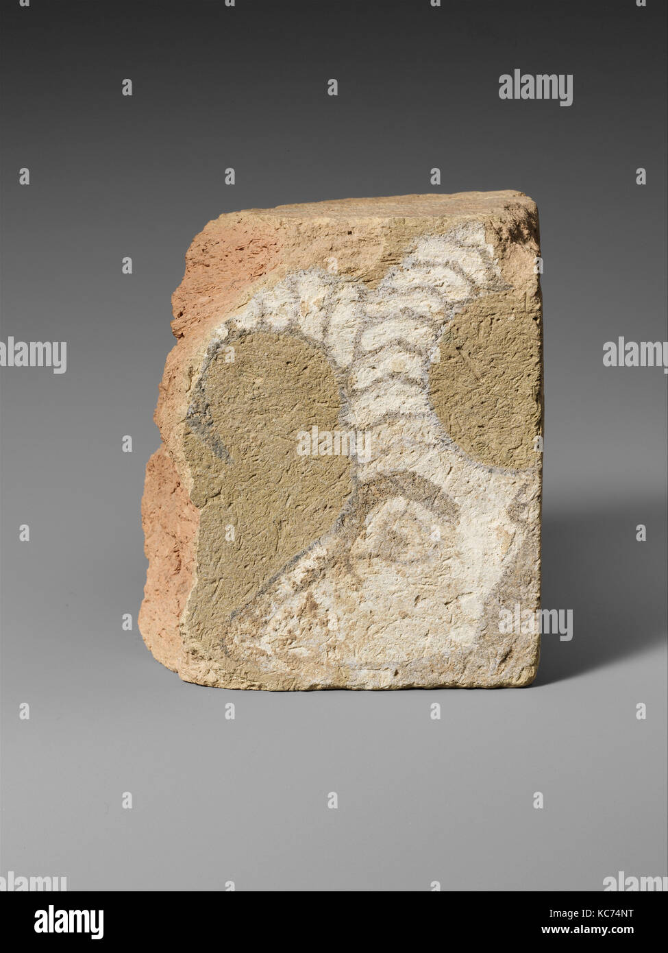 Brick Fragment mit dem Kopf eines ibex, Ca. 9. Jahrhundert v. Chr. Stockfoto