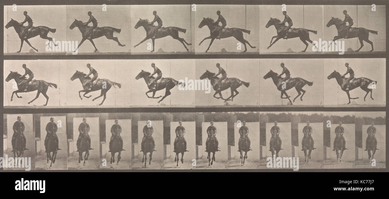 Pferd und Reiter galoppieren, Eadweard Muybridge, 1883-86, Gedruckt 1887 Stockfoto