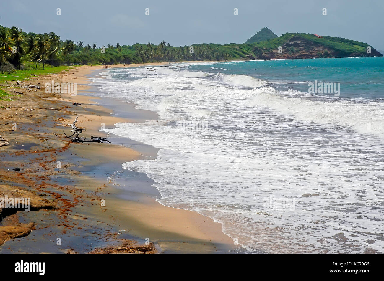 Bathway Beach ist in Levera Nationalpark an der Nordostküste von Grenada entfernt Stockfoto