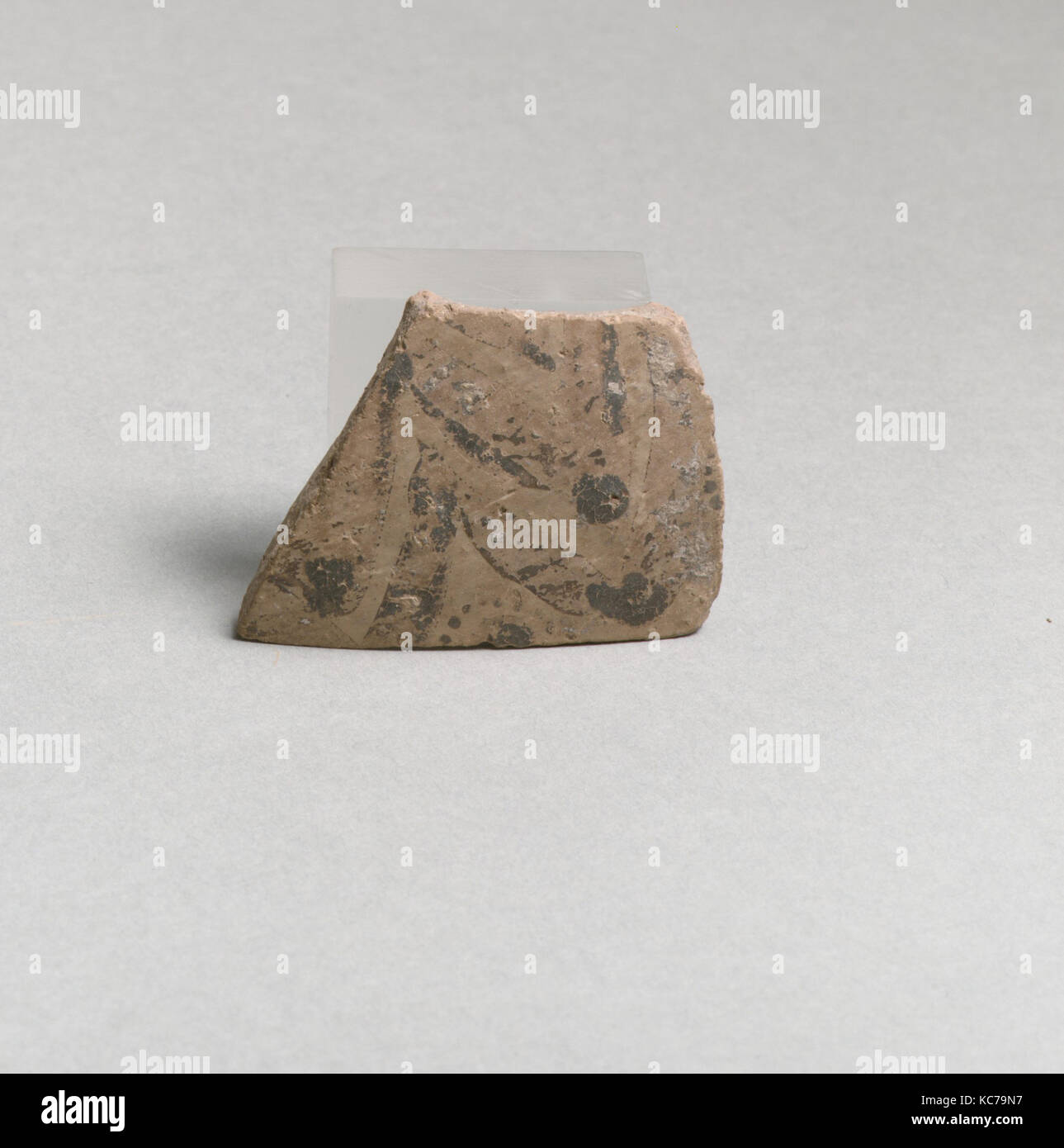 Terracotta Gefäß Fragment mit Blumenmotiv, Ca. 1600 - 1450 v. Chr. Stockfoto