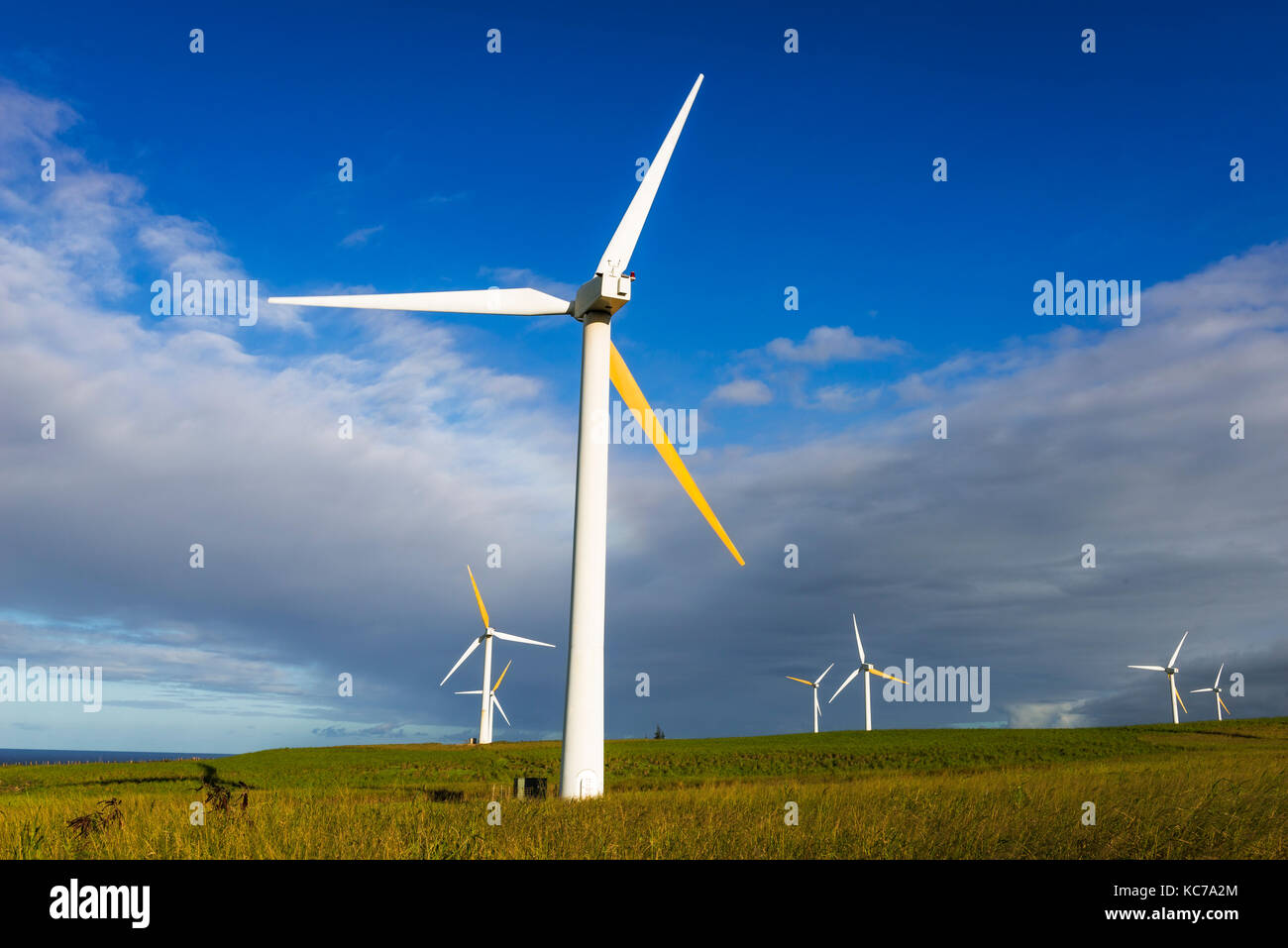 Windenergieanlagen im Windpark Hawi, Upolu, Hawi, Big Island, Hawaii USA Stockfoto