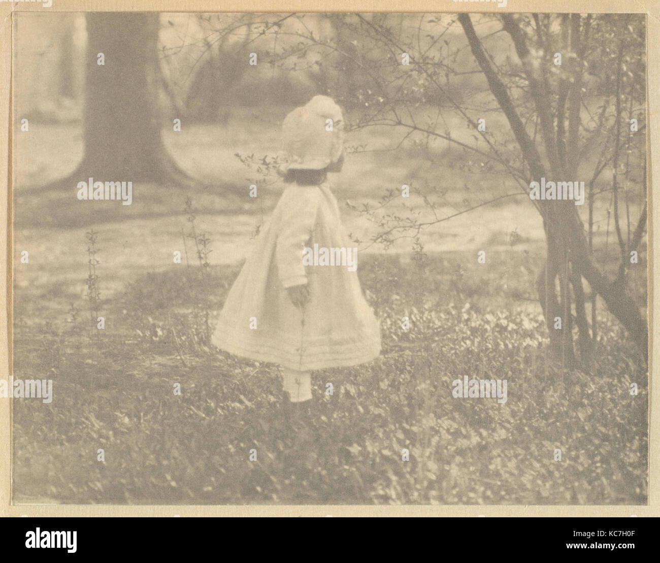 Kitty Stieglitz, Central Park, New York, Alfred Stieglitz, 1901 Stockfoto