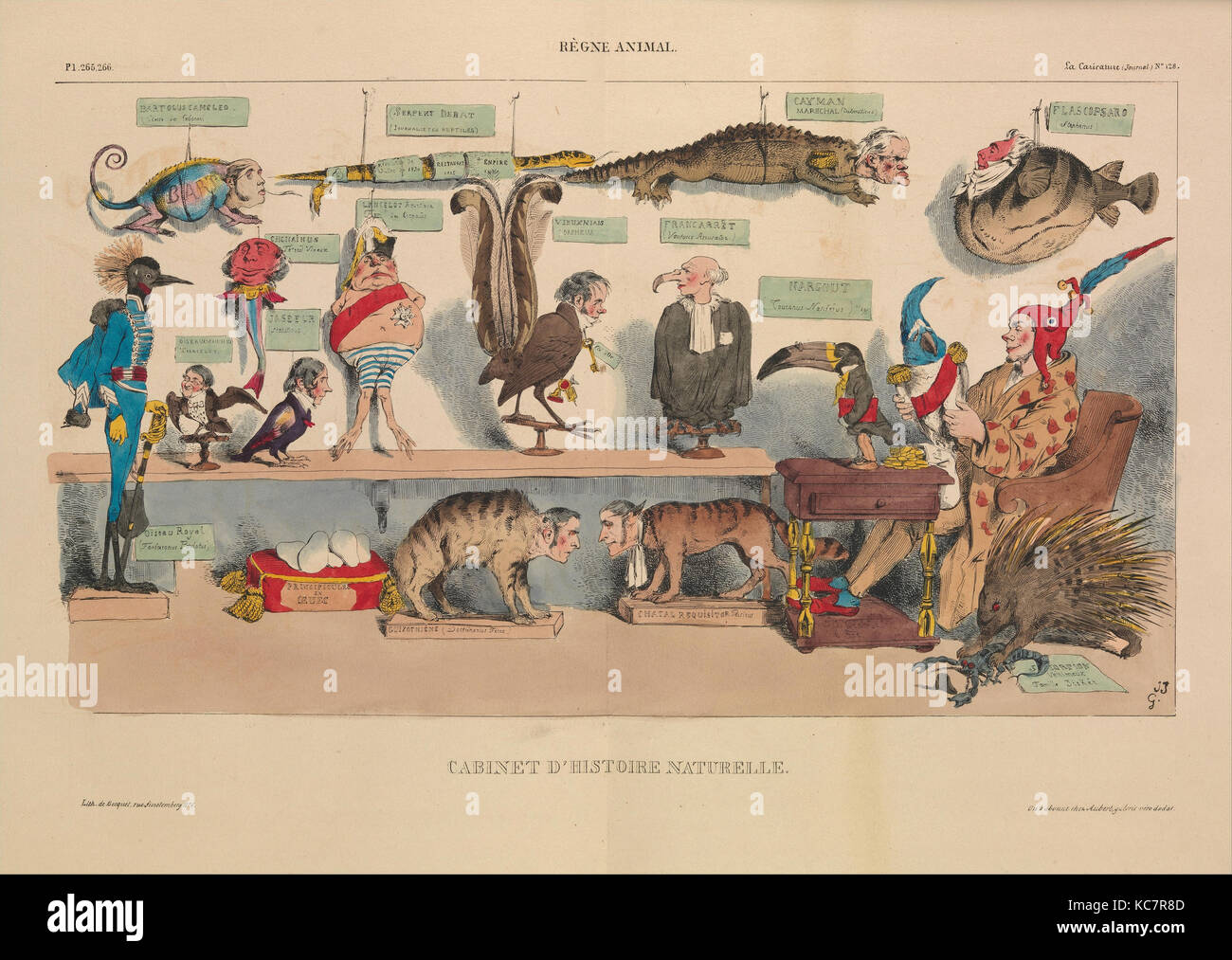 Animal Kingdom: Naturgeschichte Cabinet (Règne animal: Cabinet d'Histoire Naturelle), von La Karikatur, Teller 265 und 266 Stockfoto