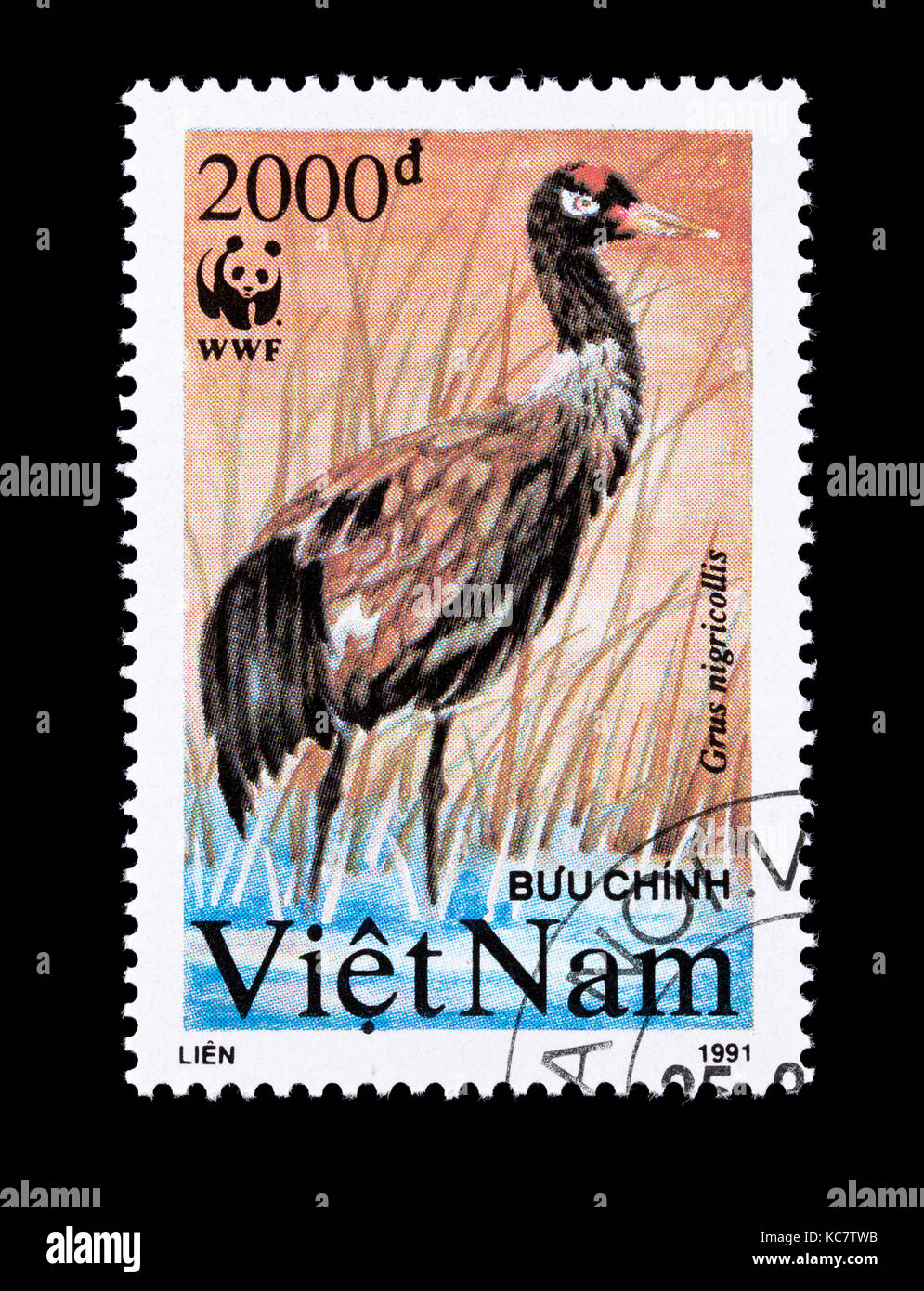 Briefmarke aus Vietnam, black-necked Crane (Grus nigricollis) Stockfoto