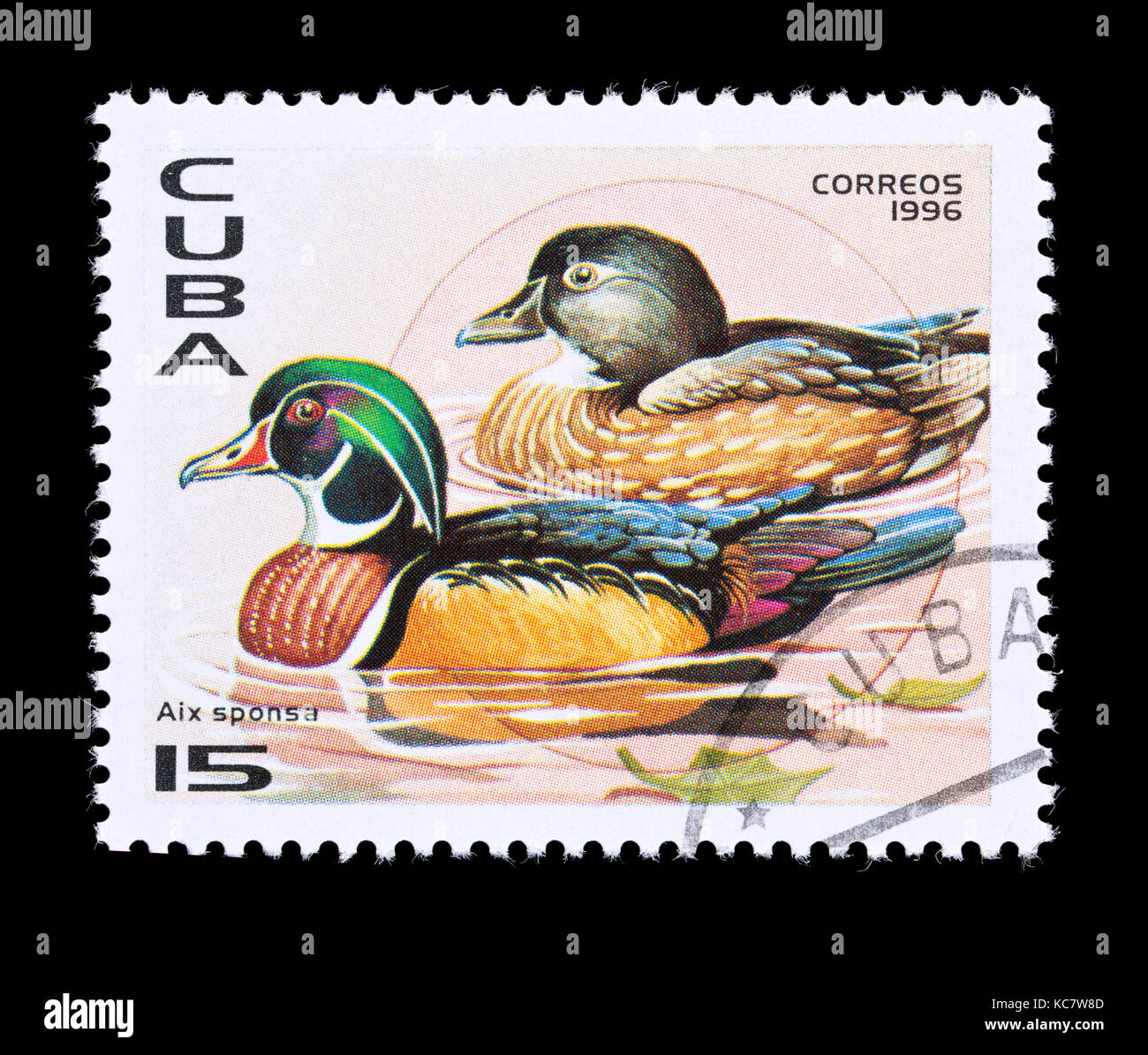 Briefmarke aus Kuba, die einen Wald Ente oder Carolina duck (Aix sponsa) Stockfoto