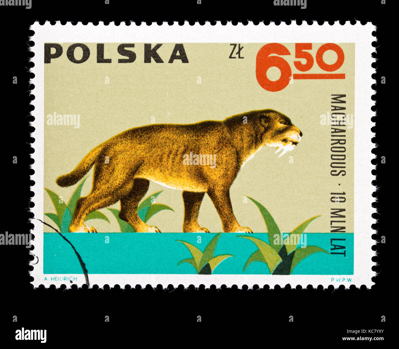 Briefmarke aus Polen, machairodus Stockfoto