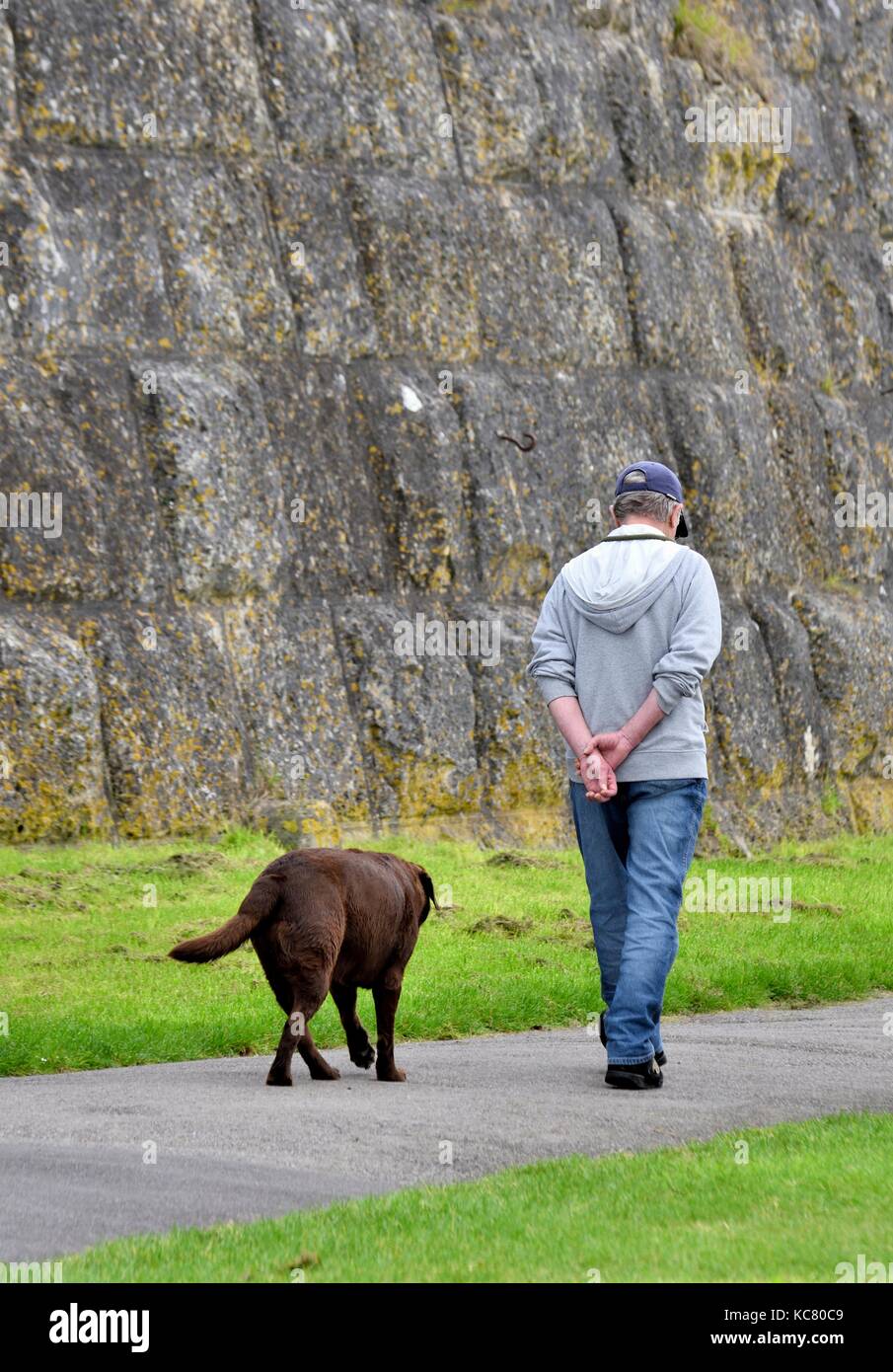 Mans besten Freund Stockfoto