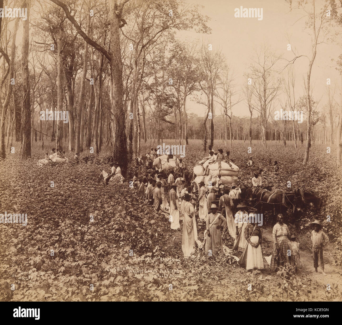 12 Uhr in der Abstumpfung, John Horgan jr., Ca. 1891 Stockfoto