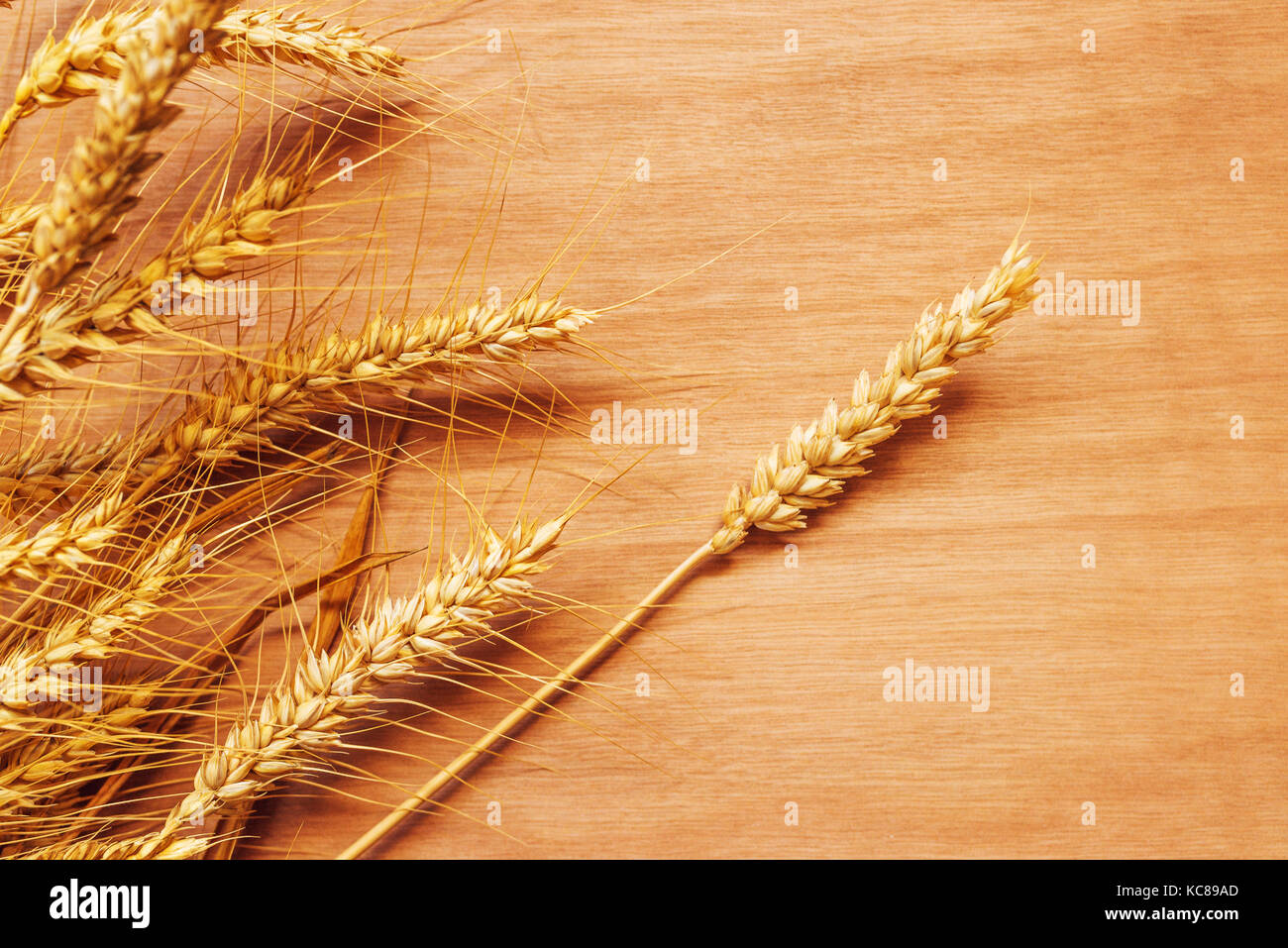 Roggen Weizen Ohren auf Sperrholz Hintergrund, geerntete Getreide Stockfoto