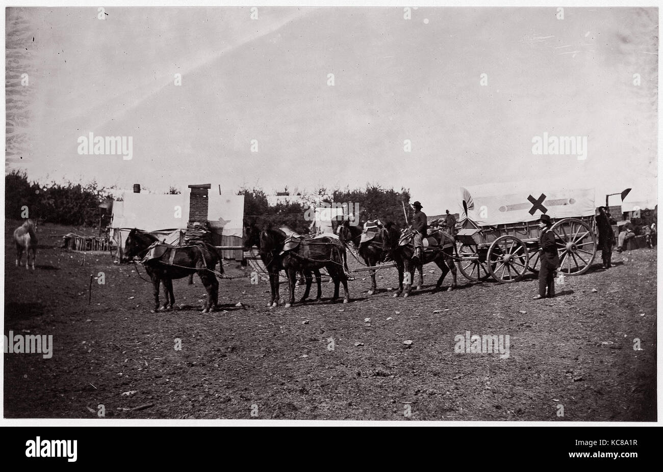 Das Team der 1. Division, 6 Corps in der Nähe von Hazel Fluss, Virginia, Timothy H. O'Sullivan, 1861-65 Stockfoto