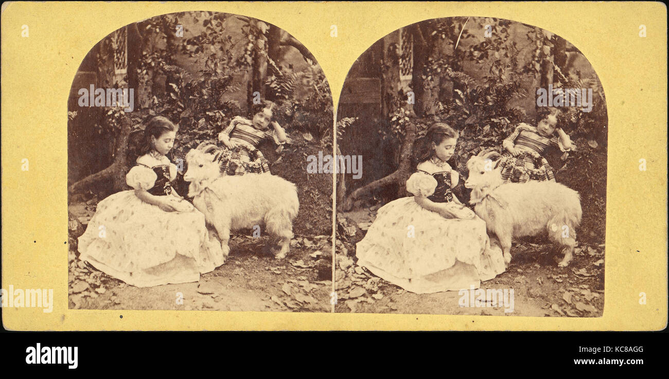 Gruppe von 31 Stereograph Blick auf Kinder mit Tieren, Benneville Lloyd Singley, 1850s - 1910s Stockfoto