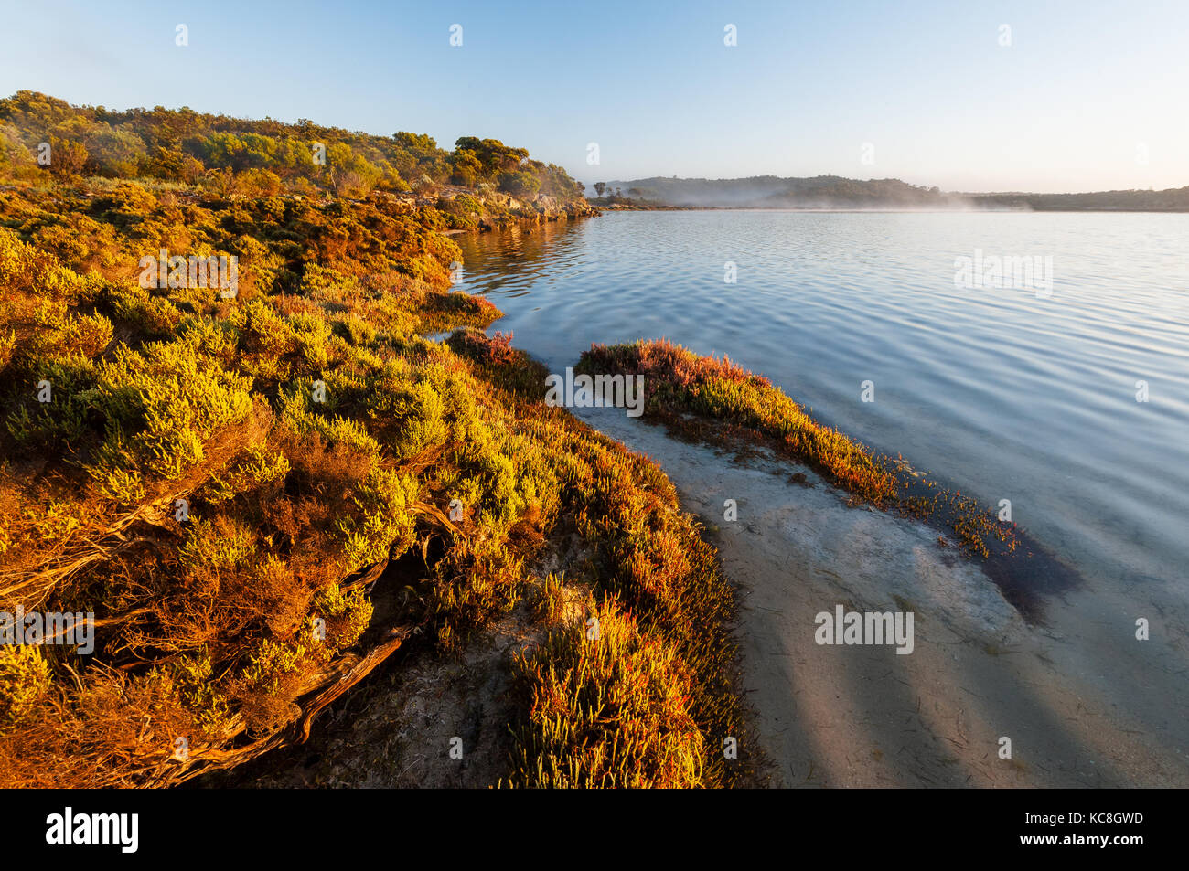 Morgennebel am Yangie Bay in Coffin Bay National Park. Stockfoto