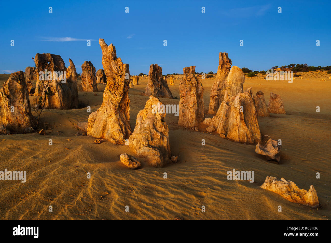 Die Spitzen der Nambung Nationalpark im Abendrot. Stockfoto