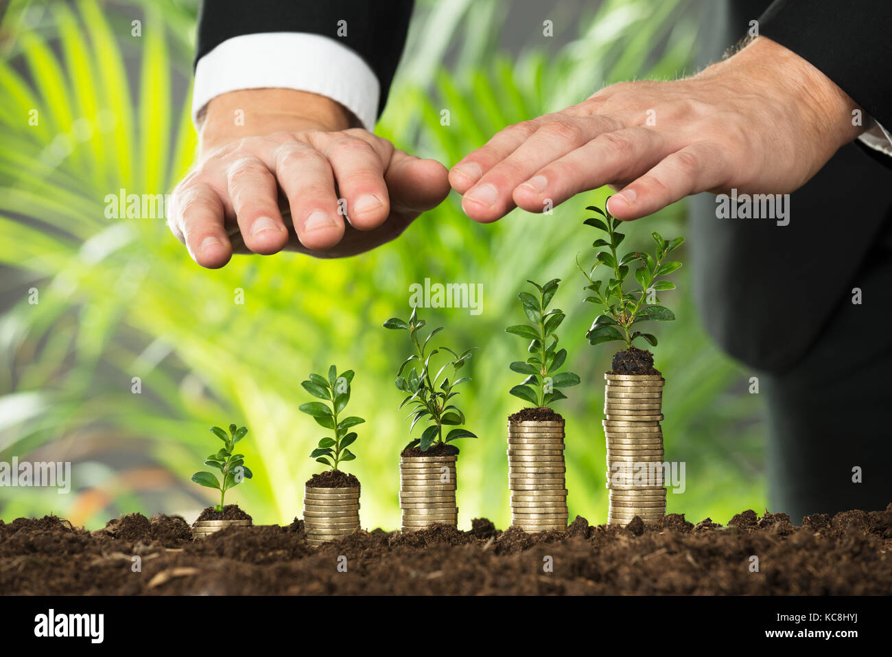 Nahaufnahme der Person schützende Hand Kleine Pflanze auf Gestapelte Münzen Stockfoto