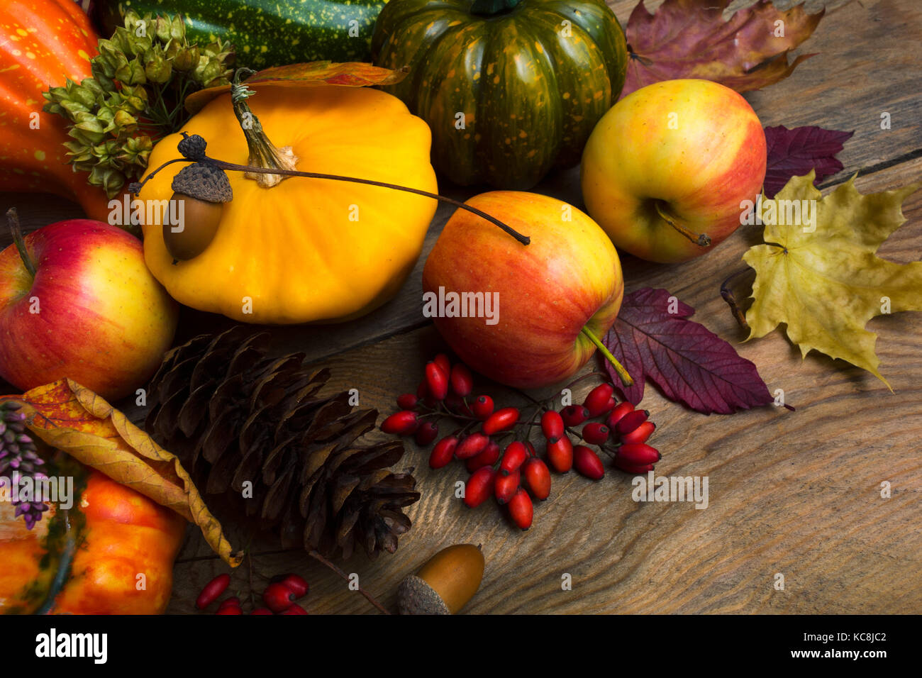 Ernte Konzept mit gelben Squash, Tannenzapfen, Berberitze, Äpfel und Ahornblätter. Stockfoto