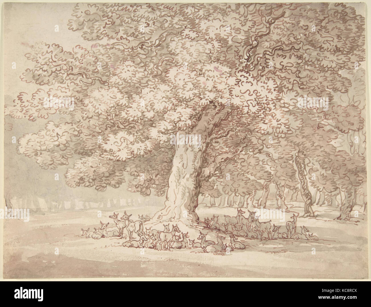 Herde von Rehen unter einer Eiche Baum, Thomas Rowlandson, 1775 - 1827 Stockfoto